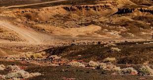 2025 赛季：MLB 官方通过决议，决定在 2026 明星赛中正式引入“全垒打延长赛”制度